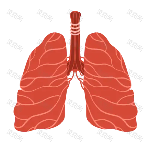 卡通风肺部医疗元素贴纸9