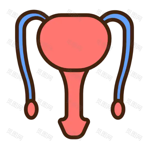 ICON-扁平矢量器官医疗icon-前列腺
