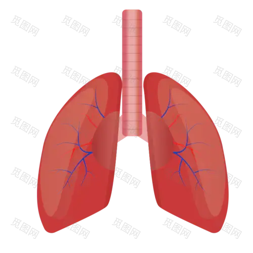 手绘-人体器官医疗元素贴纸-肺