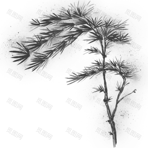 手绘-中国风水墨风植物贴纸-松柏