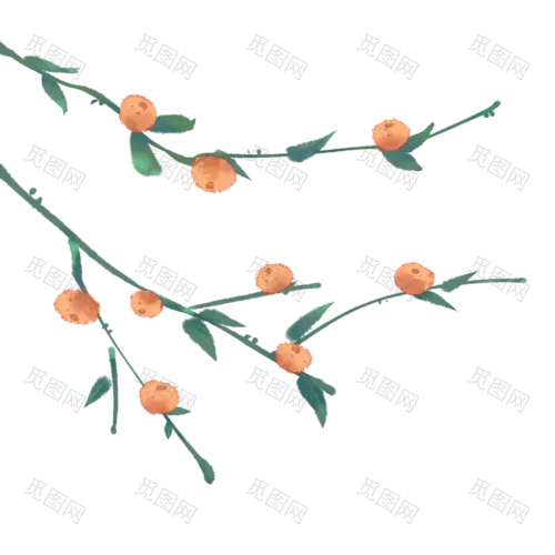 24节气霜降PNG素材卡通手绘柿子秋季丰收PNG免抠图片