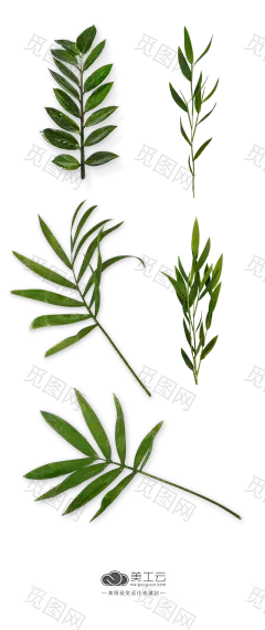 PlaPlants-&amp;-Flowers-植物免摳素材PNG：