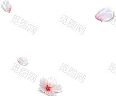 花-花瓣