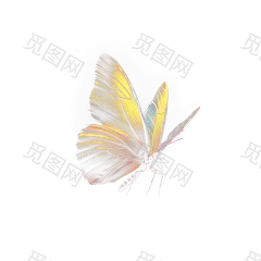 Realistic Butterfly Overlay_Walllow_03