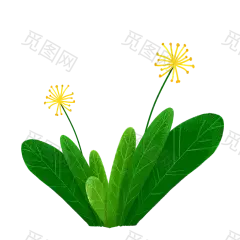 植物 png